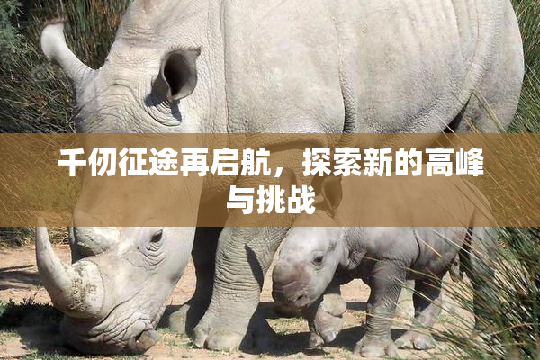 千仞征途再启航，探索新的高峰与挑战