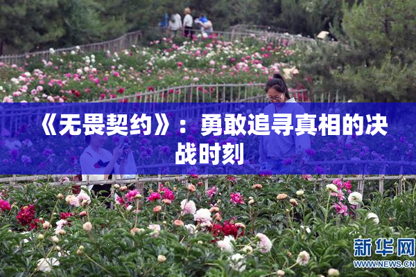 《无畏契约》：勇敢追寻真相的决战时刻