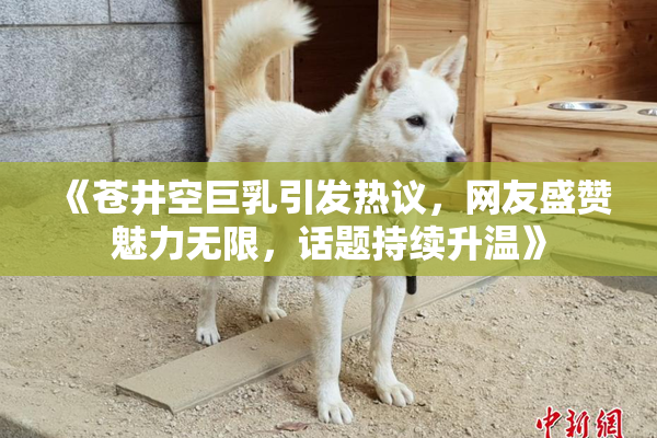 《苍井空巨乳引发热议，网友盛赞魅力无限，话题持续升温》