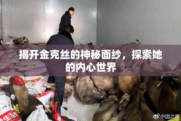 揭开金克丝的神秘面纱，探索她的内心世界
