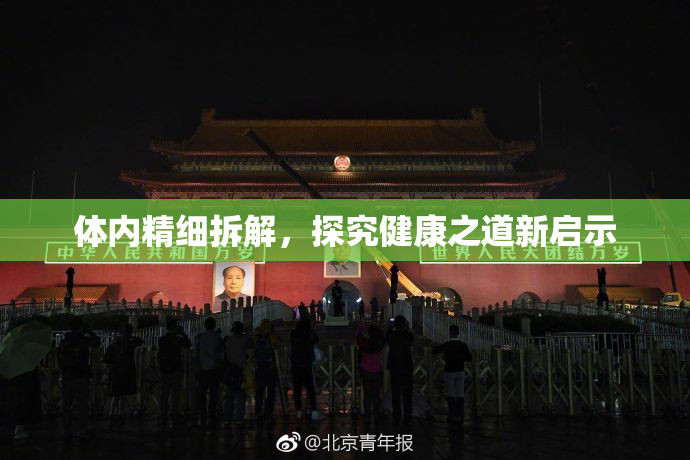 体内精细拆解，探究健康之道新启示