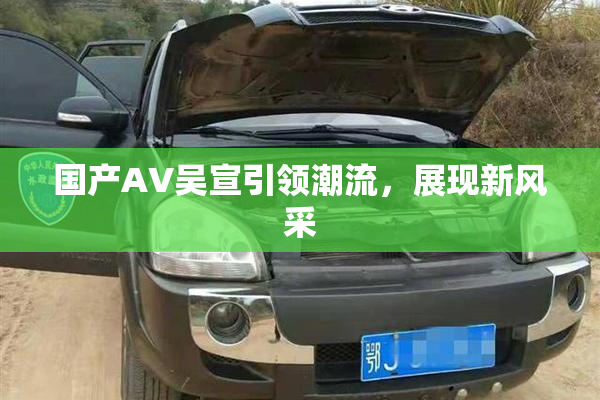 国产AV吴宣引领潮流，展现新风采