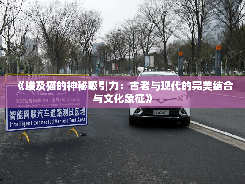 《埃及猫的神秘吸引力：古老与现代的完美结合与文化象征》