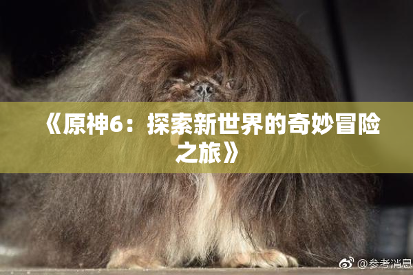 《原神6：探索新世界的奇妙冒险之旅》