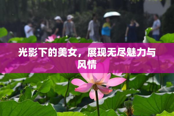 光影下的美女，展现无尽魅力与风情