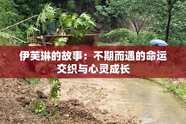 伊芙琳的故事：不期而遇的命运交织与心灵成长