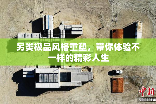 另类极品风格重塑，带你体验不一样的精彩人生