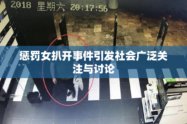 惩罚女扒开事件引发社会广泛关注与讨论