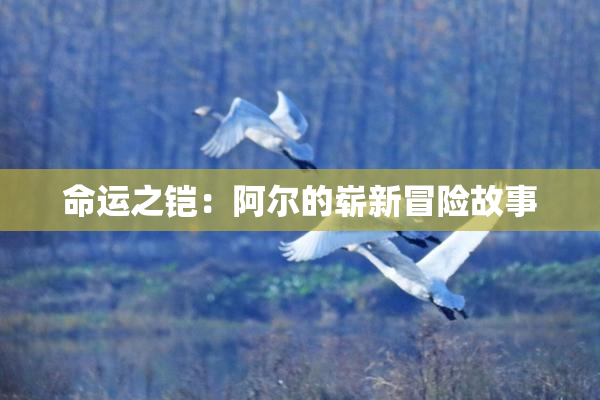 命运之铠：阿尔的崭新冒险故事