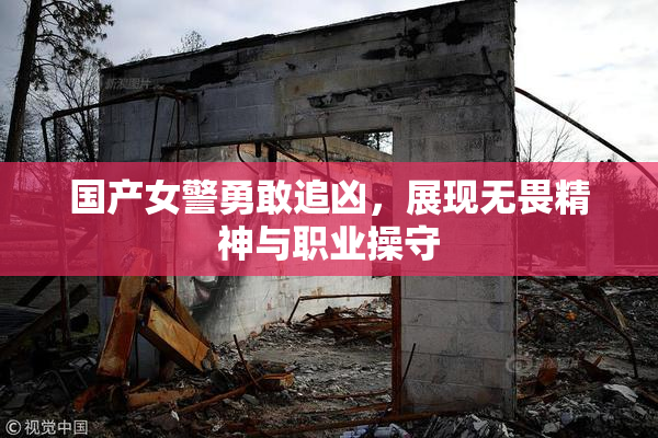 国产女警勇敢追凶，展现无畏精神与职业操守