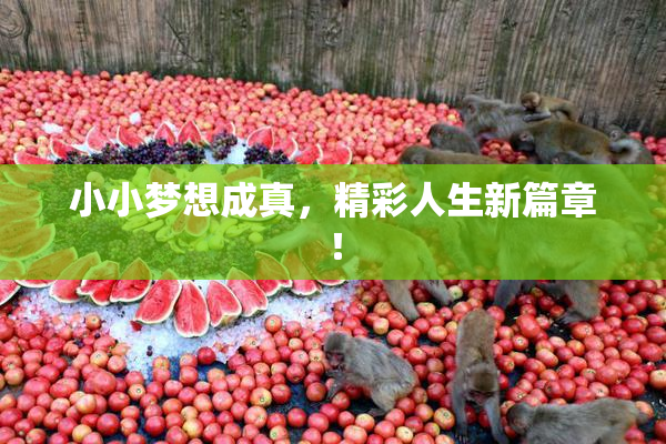 小小梦想成真，精彩人生新篇章！