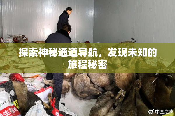 探索神秘通道导航，发现未知的旅程秘密