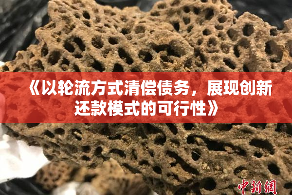 《以轮流方式清偿债务，展现创新还款模式的可行性》