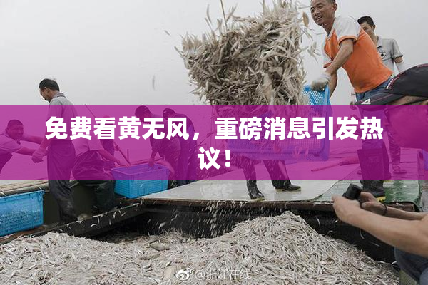 免费看黄无风，重磅消息引发热议！