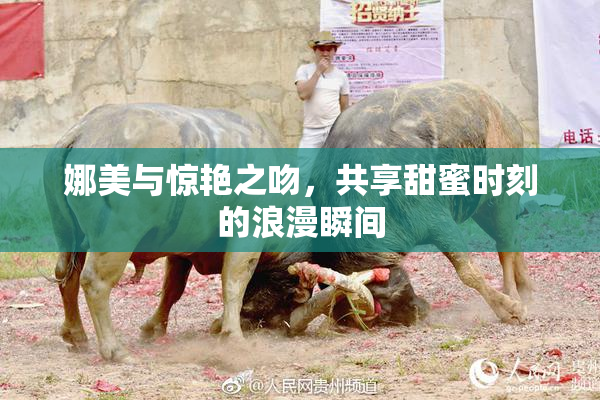娜美与惊艳之吻，共享甜蜜时刻的浪漫瞬间