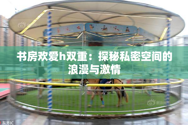 书房欢爱h双重：探秘私密空间的浪漫与激情