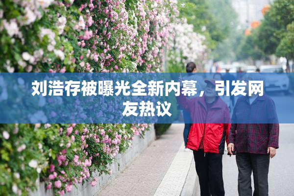 刘浩存被曝光全新内幕，引发网友热议