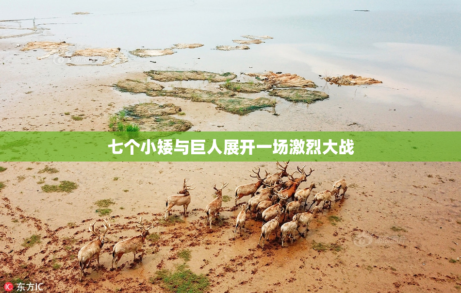 七个小矮与巨人展开一场激烈大战