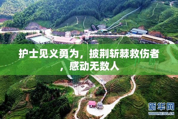 护士见义勇为，披荆斩棘救伤者，感动无数人