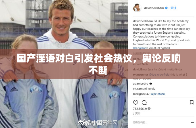 国产淫语对白引发社会热议，舆论反响不断