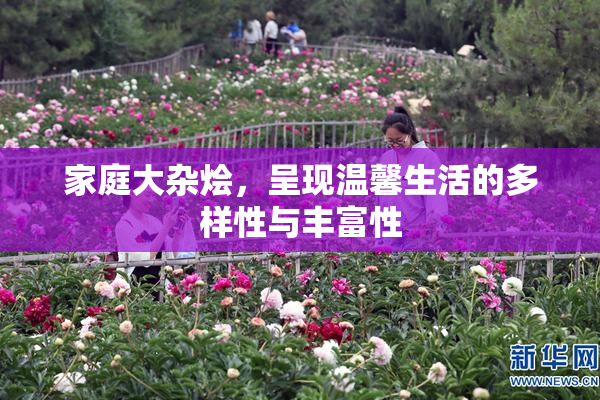 家庭大杂烩，呈现温馨生活的多样性与丰富性