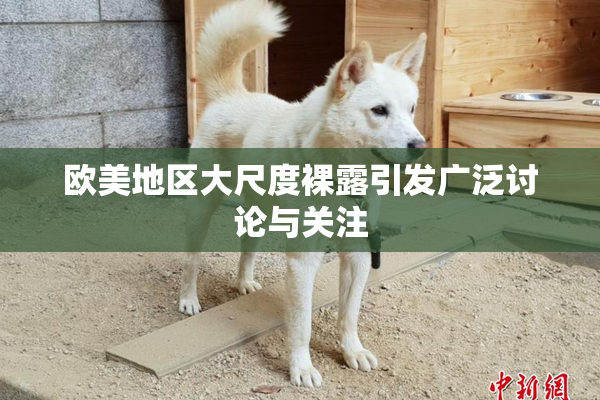 欧美地区大尺度裸露引发广泛讨论与关注