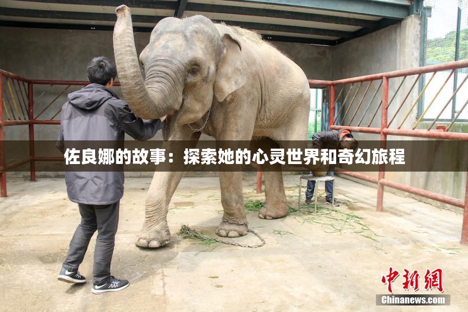 佐良娜的故事：探索她的心灵世界和奇幻旅程