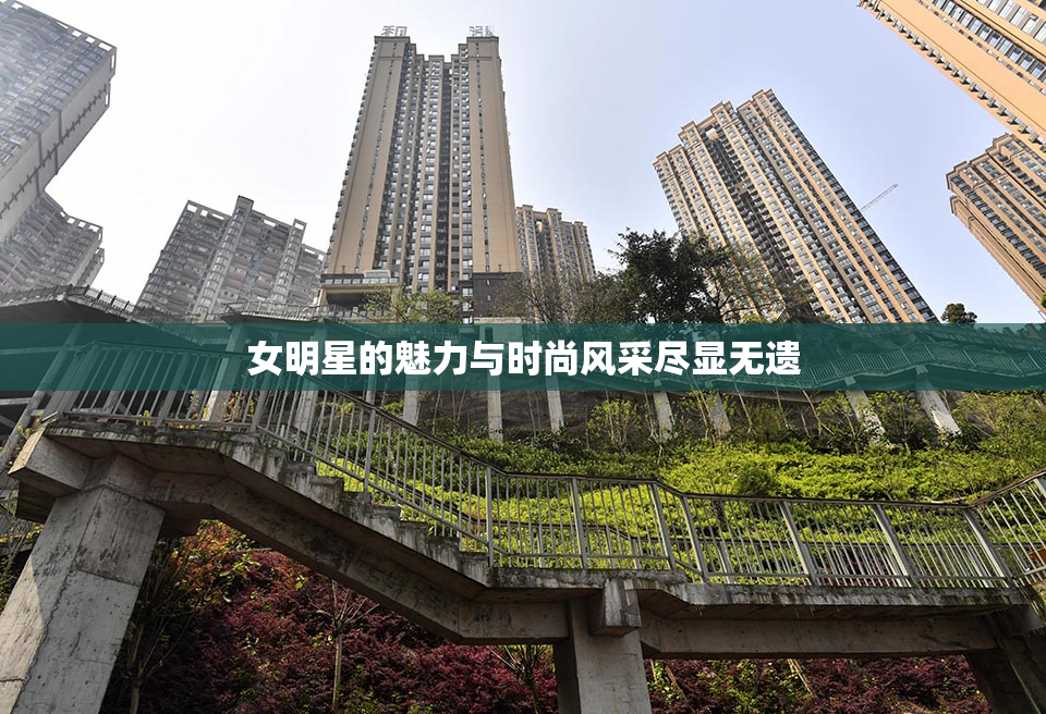 女明星的魅力与时尚风采尽显无遗