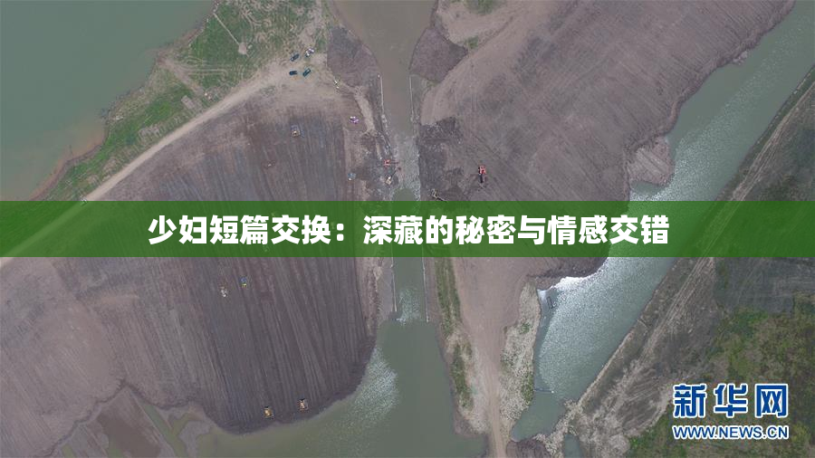 少妇短篇交换：深藏的秘密与情感交错