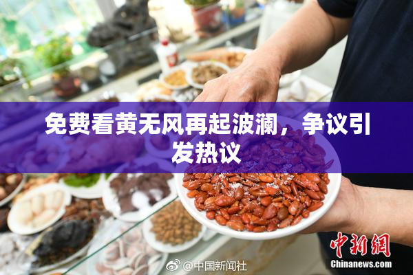免费看黄无风再起波澜，争议引发热议