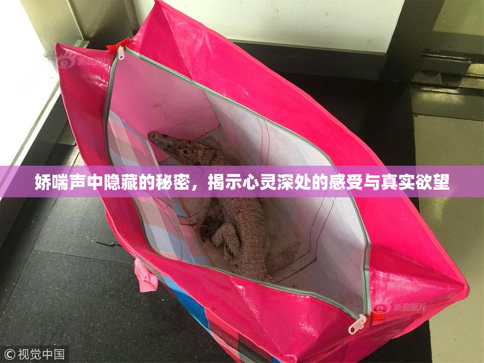 娇喘声中隐藏的秘密，揭示心灵深处的感受与真实欲望