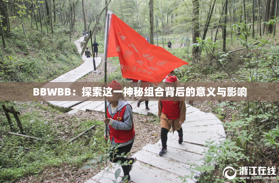 BBWBB：探索这一神秘组合背后的意义与影响