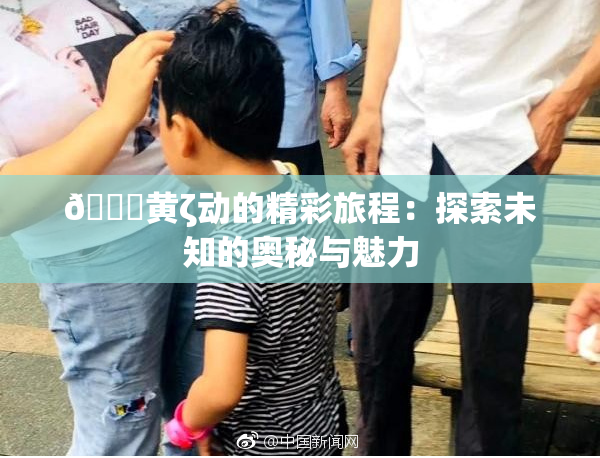 🔞黄ζ动的精彩旅程：探索未知的奥秘与魅力