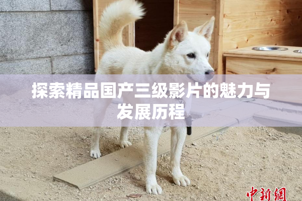 探索精品国产三级影片的魅力与发展历程