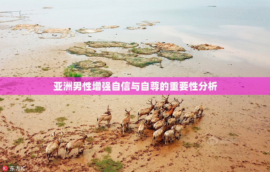 亚洲男性增强自信与自尊的重要性分析