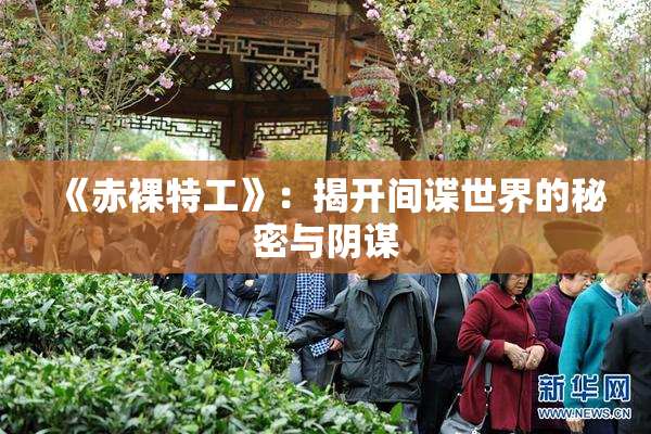 《赤裸特工》：揭开间谍世界的秘密与阴谋