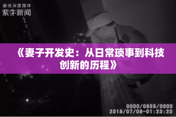 《妻子开发史：从日常琐事到科技创新的历程》