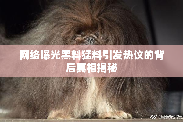 网络曝光黑料猛料引发热议的背后真相揭秘