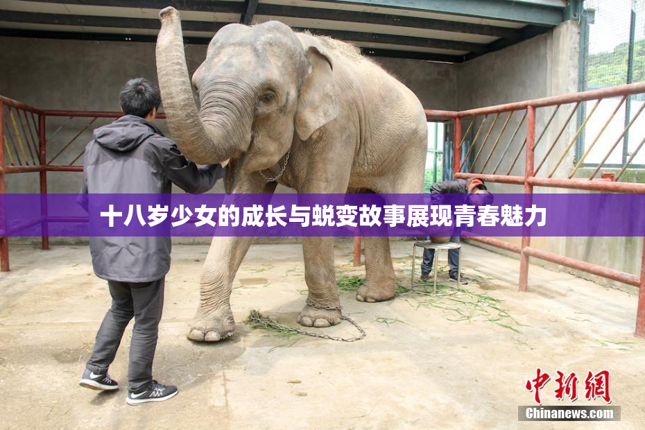 十八岁少女的成长与蜕变故事展现青春魅力