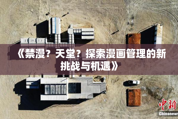 《禁漫？天堂？探索漫画管理的新挑战与机遇》