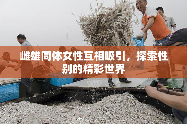 雌雄同体女性互相吸引，探索性别的精彩世界