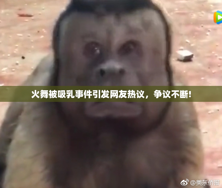 火舞被吸乳事件引发网友热议，争议不断!