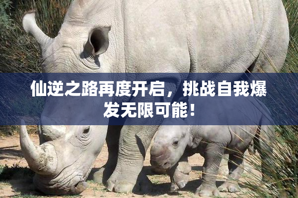仙逆之路再度开启，挑战自我爆发无限可能！