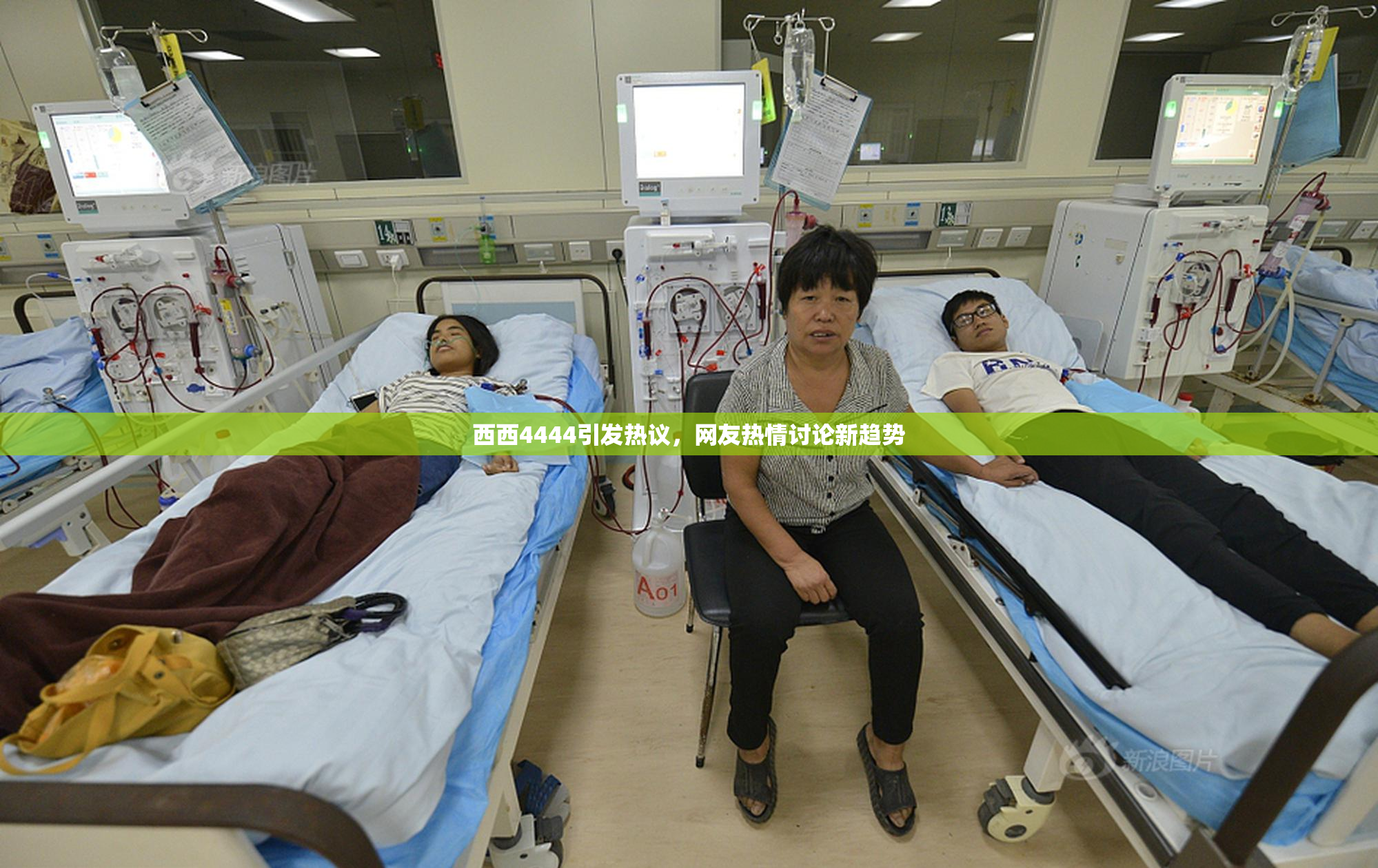 西西4444引发热议，网友热情讨论新趋势