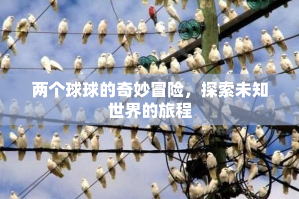 两个球球的奇妙冒险，探索未知世界的旅程