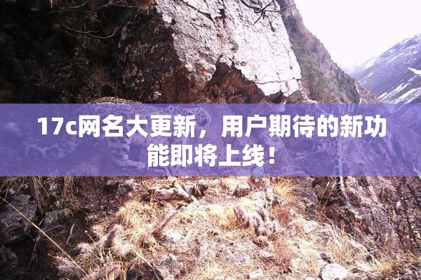17c网名大更新，用户期待的新功能即将上线！