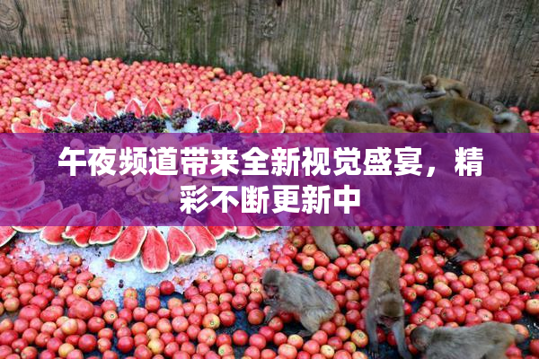 午夜频道带来全新视觉盛宴，精彩不断更新中