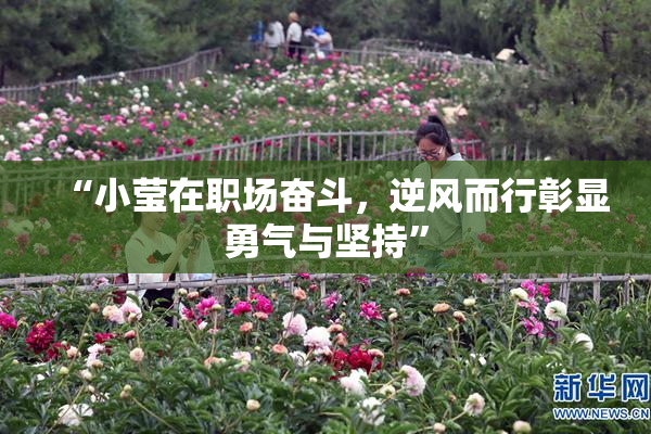 “小莹在职场奋斗，逆风而行彰显勇气与坚持”