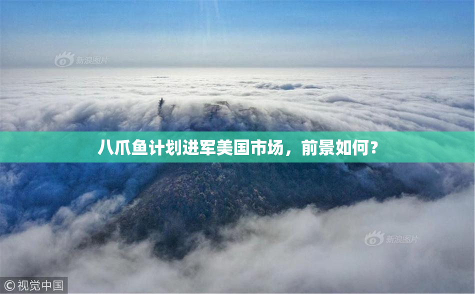 八爪鱼计划进军美国市场，前景如何？