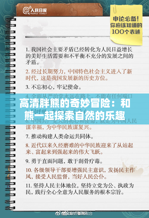 高清胖熊的奇妙冒险：和熊一起探索自然的乐趣